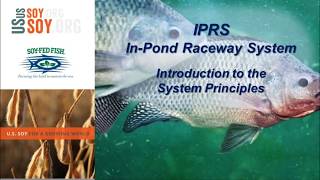 Introduction to Sustainable InPond Raceway System IPRS Principles [upl. by Samuela455]