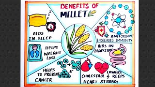 Benefits Of Millet Drawing How To Draw Advantages Of Millet  Benefits Of Millet Poster Drawing [upl. by Sorcha]