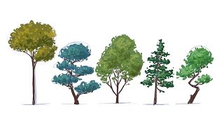 Disegnare gli alberi [upl. by Haimaj]