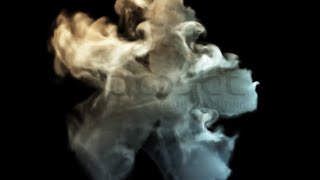 Cinema 4D Smoke Flower Tutorial [upl. by Ybanrab508]