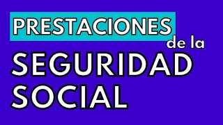 Prestaciones de la Seguridad Social en España [upl. by Nnagrom]