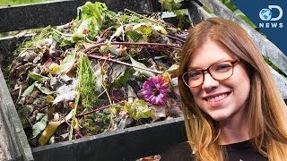 How To Start Your Own Compost [upl. by Nylsirk957]