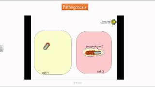 Listeria monocytogenes [upl. by Stephani107]