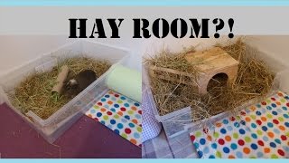 Guinea Pigs Cages HOW TO Make Your Own Hay Room  Squeak Dreams [upl. by Yehudi]