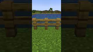 This Thing In Minecraft Is Completely Logicless 🤬 [upl. by Atiuqad]