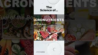 Exploring Essential Nutrients A Guide to Macronutrients and Micronutrients ytshorts study short [upl. by Blackwell199]