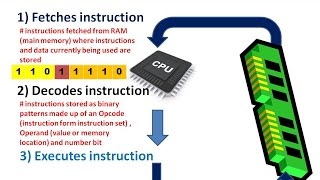 what does the CPU do  how is the CPU affected by clock speed cache memory and number of cores [upl. by Naresh749]