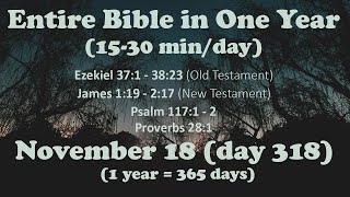 November 18  Entire Bible in One Year 15 minday audio [upl. by Hourihan]