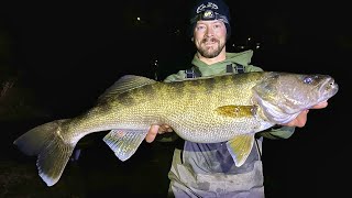 HUGE WALLEYE Breaks 7 State Records New PB [upl. by Suivatna]