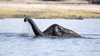 10 Times The Loch Ness Monster Was Spotted [upl. by Nobile]