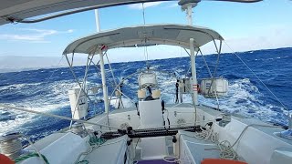 Whos Driving Sailing BIG WIND Shorts [upl. by Nikolaos720]