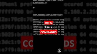 12 MustKnow Linux Networking Commandslinuxcommands linux cybersecurity [upl. by Dnamra]