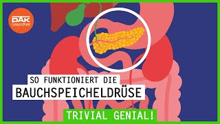 So funktioniert die Bauchspeicheldrüse  trivialgenial  DAKGesundheit [upl. by Garibull307]