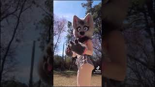 cfcaptures furry tiktok 4 [upl. by Ulrikaumeko916]