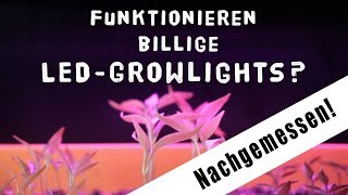 Taugen billige Wachstums LEDsGrowlights  Spektrum nachgemessen  Growbox [upl. by Manthei]