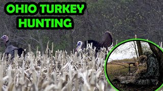 Ohio TURKEY Hunting  Youth SUCCESS [upl. by Annauqahs]