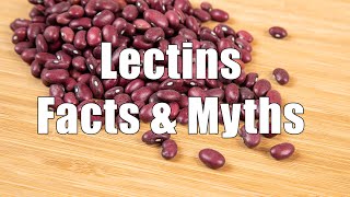 Lectins Facts amp Myths 700 Calorie Meals DiTuro Productions [upl. by Akemrej]