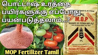 பொட்டாஷ் உரத்தின் பயன்கள்  mop fertilizer Tamil  potash fertilizer usage in tamil  potash mop [upl. by Adnowat865]