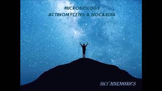 ACTINOMYCETES amp NOCARDIA features Microbiology  SKY MEDICAL MNEMONICS [upl. by Ahsienad]