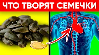 ВОТ ЧТО ТВОРЯТ СЕМЕЧКИ Реальная Польза и Вред Семечек Подсолнуха [upl. by Murrell]