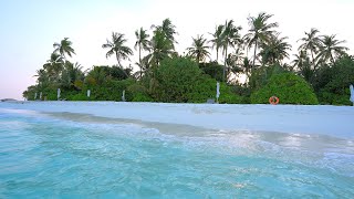 Paradise Found Turquoise Ocean Water and Wild Beach Maldives 4K ULTRA HD [upl. by Comstock]