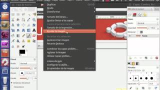 Cómo redimensionar imágenes con Gimp [upl. by Atteinotna552]