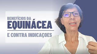 BENEFÍCIOS DA EQUINÁCEA E CONTRA INDICAÇÕES [upl. by Ahsatan]