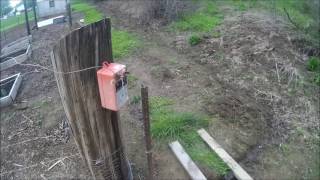 DIY Electric Fence Installation Tutorial for Garden or Pasture [upl. by Sonstrom]