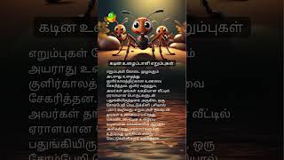 கடின உழைப்பாளி எறும்புகள் 🐜 [upl. by Leavelle295]