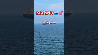 MSC ENTRY MSC VIEW CONATINERS SHIPME🤭💕shorts trending subscribe viralshorts love navy [upl. by Waylen]