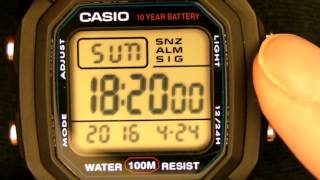 CASIO W800H1 Module 3240 Mens Digital Wristwatch [upl. by Nairadal808]