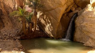 Chebika magnifique oasis de montagne à Tozeur شبيكة واحه روعه من الجمال توزر [upl. by Ratna]