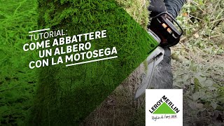 Tutorial come abbattere un albero con la motosega  Leroy Merlin [upl. by Yt]