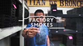 Drew Estate Brand Guide Factory Smokes by Drew Estate [upl. by Mccahill]