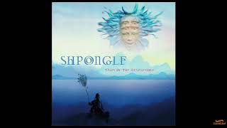 1 Shpongle  Dorset Perception Remastered [upl. by Slin]