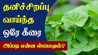 Health Benefits of Vallarai Keerai  Tamil Health Tips [upl. by Bigot]