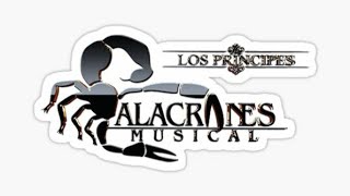 Alacranes Musical Micaela Duranguense Cumbia Fast Version [upl. by Proulx]