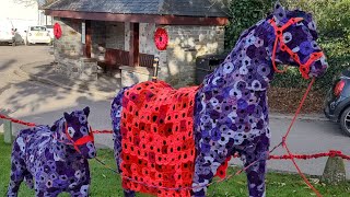 Remembrance Day display at Crantock village Cornwall  dji action 4 [upl. by Mullane]