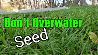 When To Stop Watering New Grass Seed [upl. by Ingvar213]