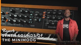 Ep20 Synth Sounds of Minimoog Parliament Pink Floyd Dr Dre amp More  Reverb [upl. by Nnylyrehc]