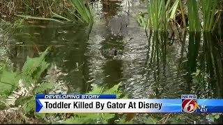 2yearold toddler killed by alligator at the Grand Floridian Resort amp Spa [upl. by Amieva]