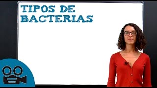 Tipos de bacterias [upl. by Legnaesoj]