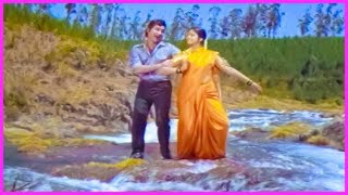 Janaki Kalaganaledu Song  Sobhan Babu jayasudha Evergreen Superhit Song  Rajkumar Movie Suryas Tv [upl. by Ceil360]