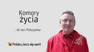 Normobaryczne komory życia  dr Jan Pokrywka [upl. by Ybroc]