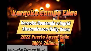 karaoke Gaitas Ingrid Alexandrescu Nelly Boom [upl. by Spain]