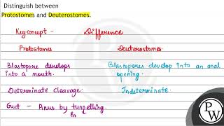 Distinguish between Protostomes and Deuterostomes [upl. by Anaehs]