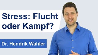 Stress  Flucht oder Kampf [upl. by Neelrahc670]