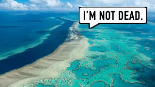 Whats going on with the Great Barrier Reef [upl. by Adekram]