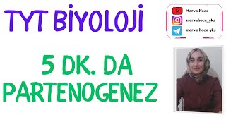 Partenogenez TYT BİYOLOJİ BURADAN SORU GELEBİLİR tyt [upl. by Ellinad]