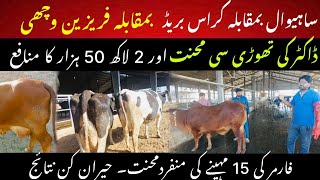 Sahiwal vs purebred vs crossbred cows II Millions profit to farmer II Dr Muzzammil Hassan [upl. by Inar]